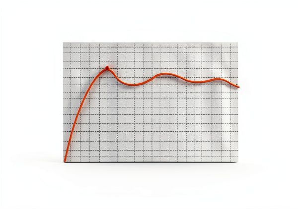 Uniflasy Heated Snow Mat 71C Rubber Outdoor-5