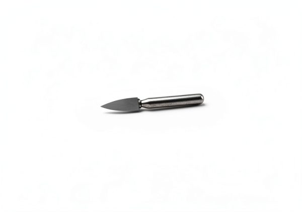 Shofu Dura-White Dental Stones FG Flame FL2-0