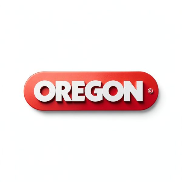 Oregon 16-Inch Replacement Chainsaw Bar & R56 Chain, 3/8" Pitch, .043" Gauge, 56 Drive Links, Fits Echo, Craftsman, Poulan, Homelite, Husqvarna, Ryobi and More (623000), Gray-4